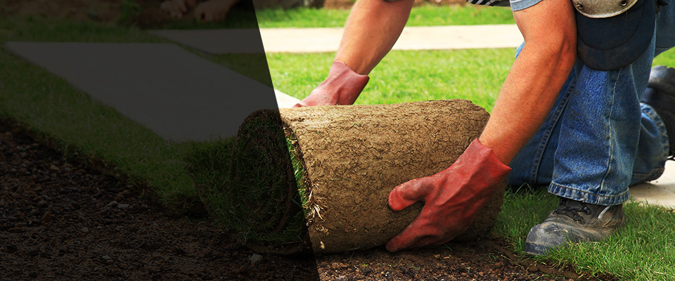 Unadilla Landscapers